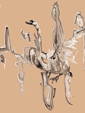 Seven Swans 20th Anniversary Sufjan Stevens T-shirt